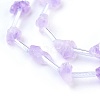 Natural Amethyst Beads Strands G-I250-03A-3