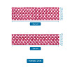 2 Rolls 2 Sizes Polyester Elastic Ribbon EW-TA0001-02D-7