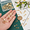   2 Sets Brass Spring Ring Clasps Charm Set FIND-PH0010-75-3