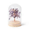 Natural Amethyst Chips Money Tree in Dome Glass Bell Jars with Wood Base Display Decorations DJEW-B007-04G-1