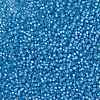 MIYUKI Round Rocailles Beads SEED-X0055-RR0573-3