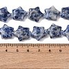 Natural Blue Spot Jasper Beads Strands G-K359-E11-3