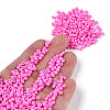 Baking Paint Glass Seed Beads SEED-S003-K2-4