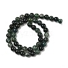 Natural Moss Agate Beads Strands G-A248-A02-01-3