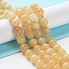 Dyed Natural Malaysia Jade Beads Strands G-G021-02B-11-2