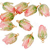 10Pcs Transparent Acrylic Pendants SACR-TA0001-66B-3