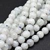 Natural Rainbow Moonstone Beads Strands G-I249-B04-03-1