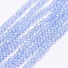 Transparent Glass Beads Strands EGLA-K010-A04-1