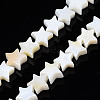 Natural Freshwater Shell Beads Strands LS-SHEL-S278-01A-01-1