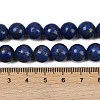Synthetic Howlite Imitation Lapis Lazuli Beads G-S393-13A-10mm-5