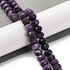 Natural Lepidolite Beads Strands G-K380-A13-01-2