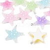 Transparent Resin Pendants RESI-P049-02B-P-2