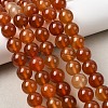 Natural Carnelian Beads Strands G-N0006-12mm-17-7