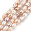 Natural Cultured Freshwater Pearl Beads Strands PEAR-P062-32E-1