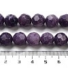 Natural Lepodolite Beads Strands G-C150-B03-02-5