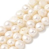 Natural Cultured Freshwater Pearl Beads Strands PEAR-A006-10B-1