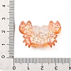 Marine Organism Theme Resin Cabochons RESI-Q010-01A-3