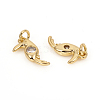 Brass Micro Pave Cubic Zirconia Charms ZIRC-L096-11G-2