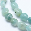 Natural Amazonite Beads Strands G-E483-53A-3