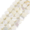 Natural Trochid Shell/Trochus Shell Beads Strands SSHEL-T014-43B-02-1