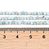 Natural Larimar Beads Strands G-F803-C01-03A-5
