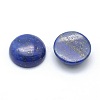 Natural Lapis Lazuli Cabochons X-G-P393-R11-12mm-2