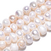 Natural Cultured Freshwater Pearl Beads Strands X-PEAR-N013-05H-4