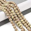 Natural Rainbow Alashan Agate Beads Strands G-NH0022-A-02-3