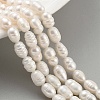 Natural Cultured Freshwater Pearl Beads Strands PEAR-P062-09A-2