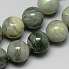 Natural Green Line Jasper Beads Strands G-P062-72-1