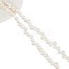  1 Strand Natural Cultured Freshwater Pearl Beads Strands PEAR-NB0002-11-7