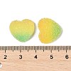 Imitation Candy Food Style Resin Cabochons RESI-R461-01K-3