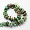 Natural Serpentine Bead Strands G-H044-07-2