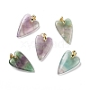 Natural Fluorite Pendants G-E570-01G-01-1