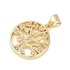 Rack Plating Brass Micro Pave Cubic Zirconia Pendants KK-H509-20G-03-2