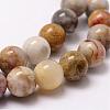 Natural Crazy Lace Agate Beads Strands G-D840-70-8mm-3
