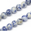 Natural Blue Spot Jasper Bead Strands G-R193-15-4mm-1