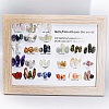 Natural Gemstones Nuggets Collections G-F734-07-1