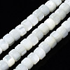 Natural Trochid Shell/Trochus Shell Beads Strands SSHEL-S266-016A-02-1