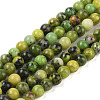 Natural Serpentine Beads Strands X-G-G829-06-4mm-1