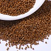 MIYUKI Delica Beads SEED-MY11-DB2109-1