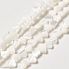 Natural Trochid Shell/Trochus Shell Beads Strands BSHE-E026-19-2