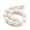 Natural Cultured Freshwater Pearl Beads Strands PEAR-P062-13C-3