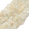 Natural White Moonstone Beads Strands G-P332-01-4