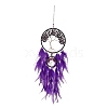 Iron & Brass Wire Woven Web/Net with Feather Pendant Decorations AJEW-B017-16-1