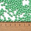 Baking Painted Glass Seed Beads SEED-C004-01D-4