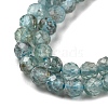 Natural Apatite Beads Strands G-C052-07-4