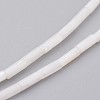 Natural Shell Bead Strands X-BSHE-P017-03-3