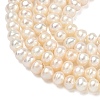Natural Cultured Freshwater Pearl Beads Strands PEAR-L034-06C-3