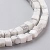 Natural Howlite Beads Strands G-F631-K11-3